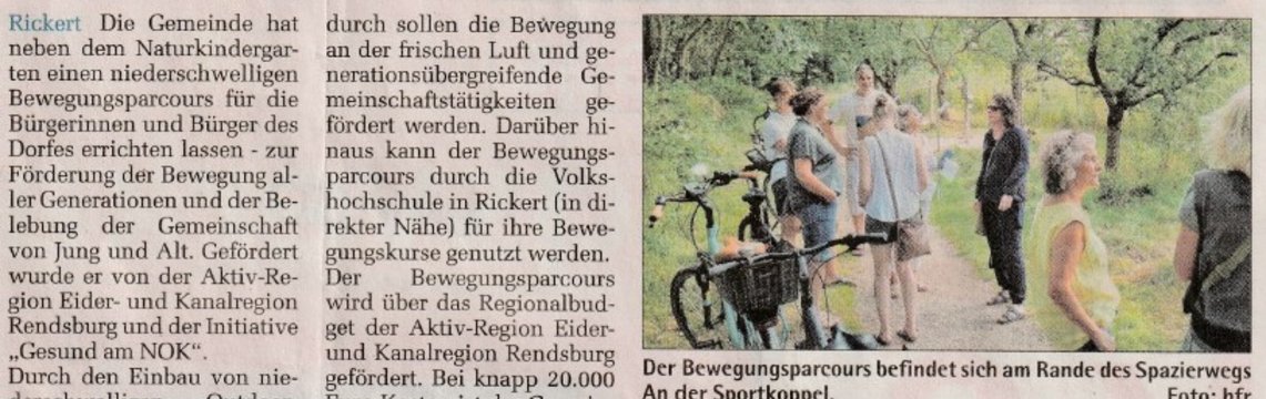 Zeitungsartikel